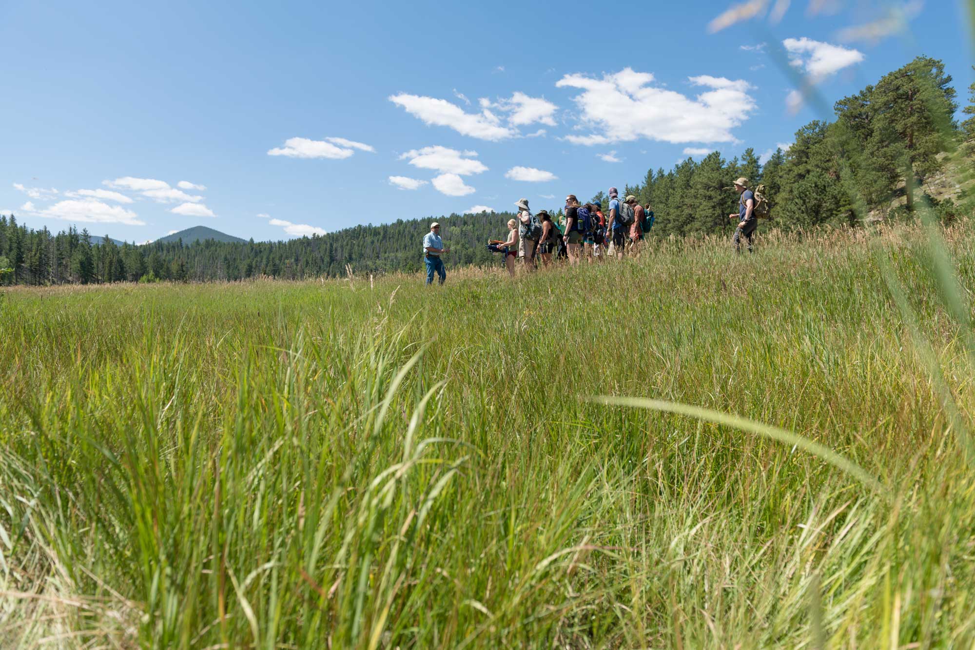 rangeland-ecosystem-science-m-s-graduate-school