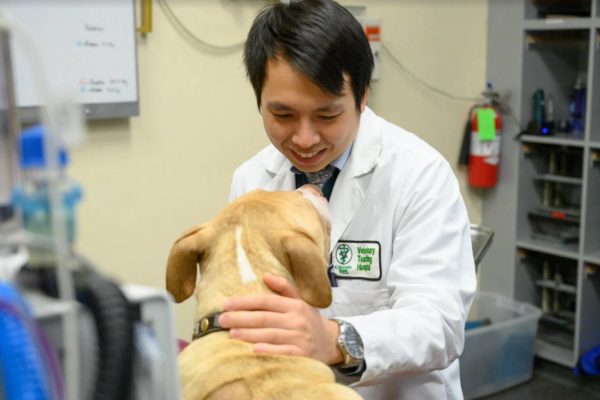 Person in lab coat with dog in lab