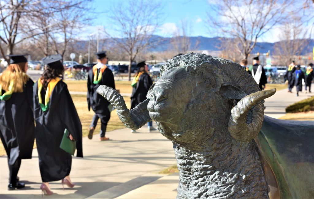 Cam the Ram statue with graduates walking behind