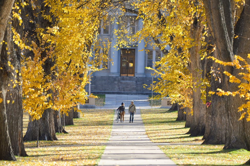 Two students walking down the Oval