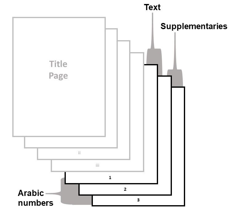 Text and Supplementaries use Arabic numbering starting at 1