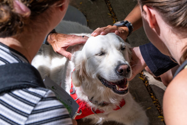 HABIC therapy dog.