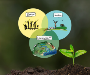 Three interlocking circles are positioned above a young plant sprouting from the soil. Each circle contains different elements: the first shows an illustration of a person and the word 'Human,' the second includes three animals and the word 'Animal,' and the third features an image of the Earth with the word 'Environment.' The interconnected circles symbolize the relationship between humans, animals, and the environment