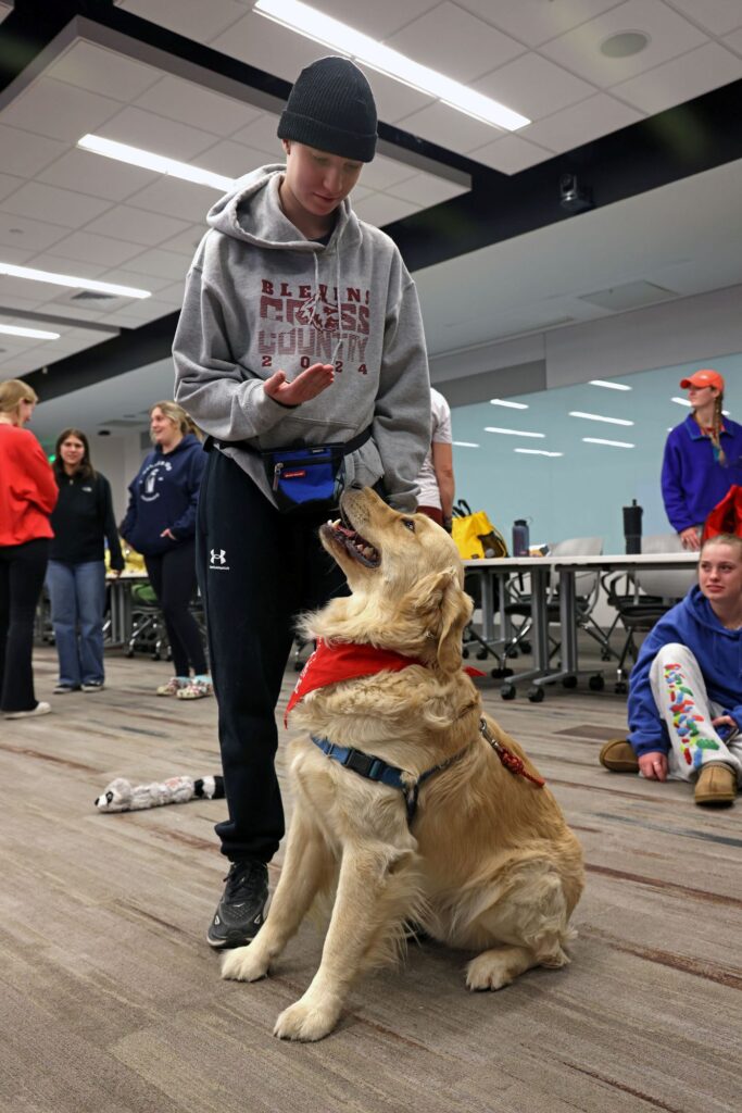 Person with HABIC dog