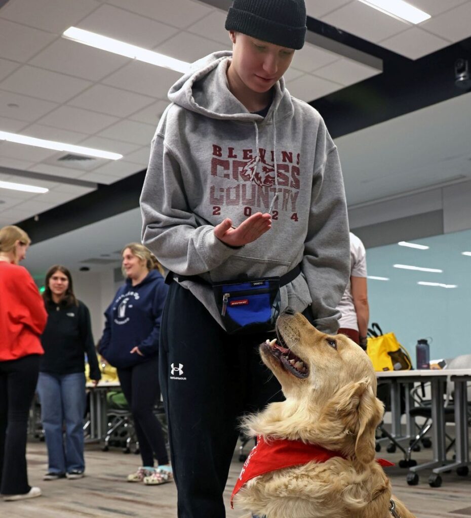 Girl trains HABIC dog
